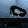 S38 SAVAGE MODEL 67 CUT-AWAY SHOTGUN IN 12 GAUGE - Image 4