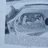 5B  THE WINCHESTER ENGRAVING BOOK by R L WILSON - Image 5