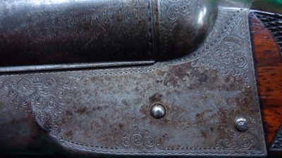 C210 COLT 1883 DOUBLE BARREL SIDE BY SIDE 10 GAUGE SHOTGUN [A] - Image 8