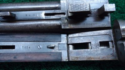 C210 COLT 1883 DOUBLE BARREL SIDE BY SIDE 10 GAUGE SHOTGUN [A] - Image 17