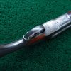 C210 COLT 1883 DOUBLE BARREL SIDE BY SIDE 10 GAUGE SHOTGUN [A] - Image 3