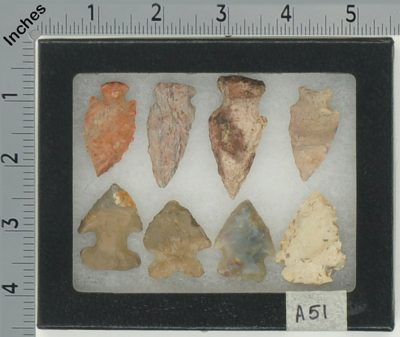 A51 NICE LITTLE DISPLAY OF 8 MEDIUM ARROWHEADS [A]
